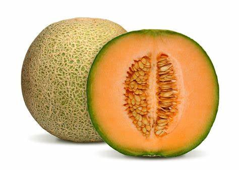 Cantaloupe