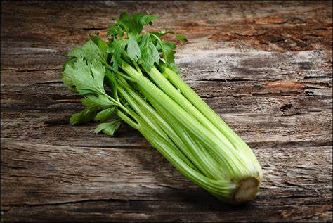 Celery