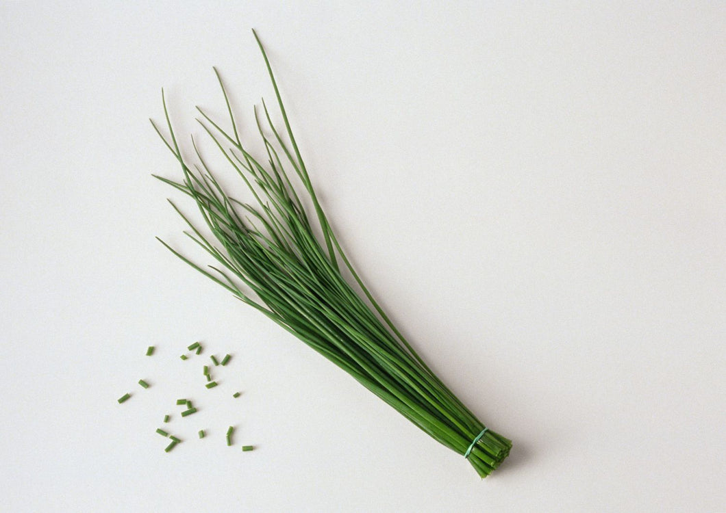 Chive