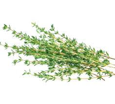 Thyme