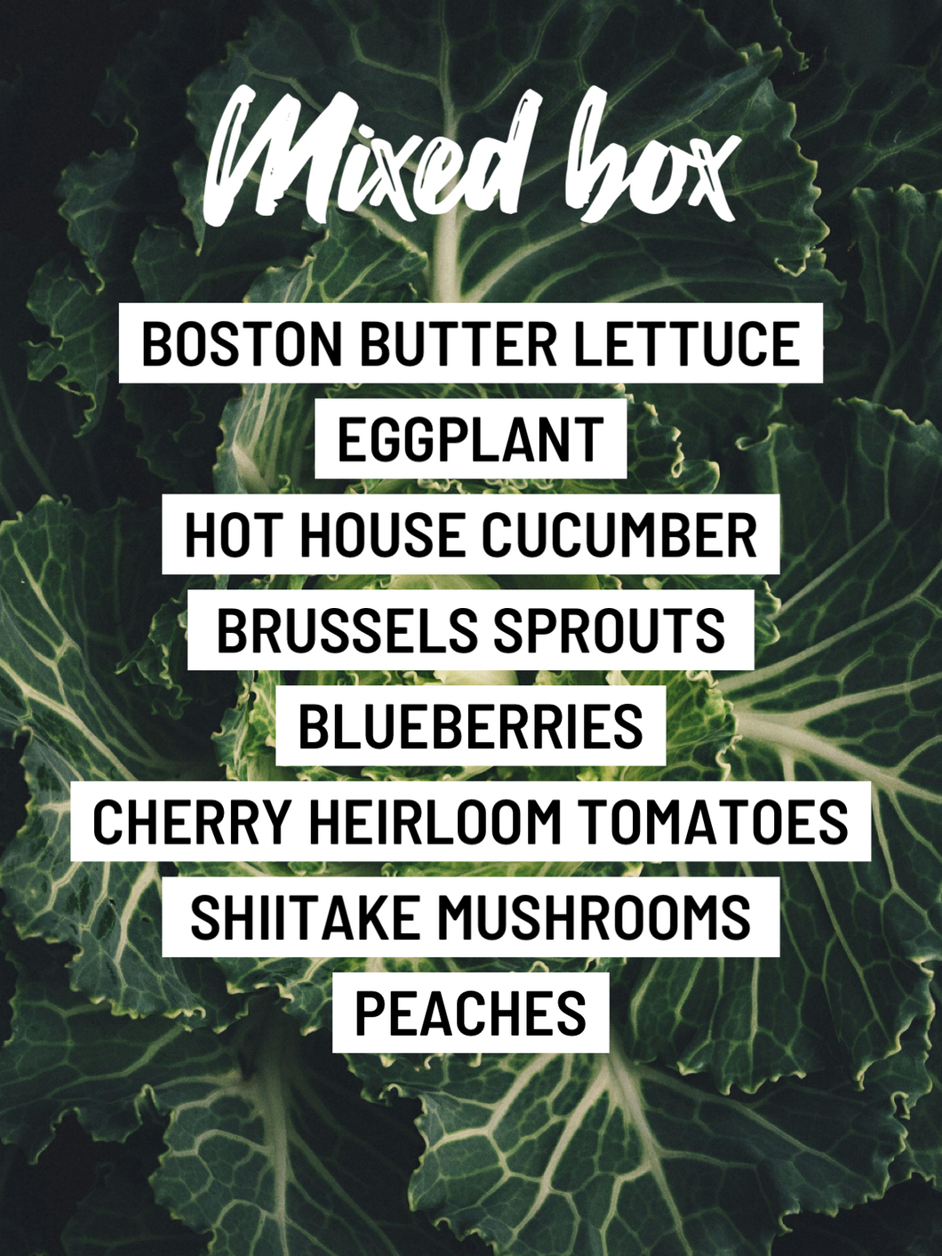 a. The Mixed Box