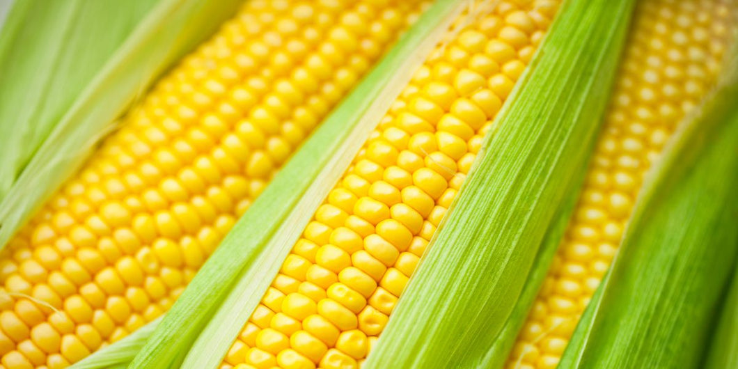 Corn 5pc