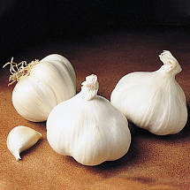 Garlic (3pc)