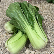 Load image into Gallery viewer, Bok choy
