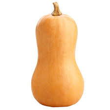 Butternut squash