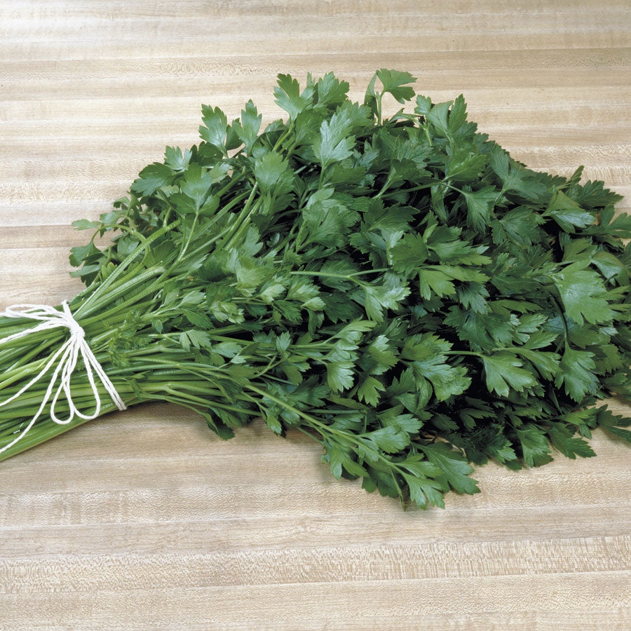 Parsley